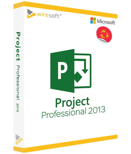 MICROSOFT PROJECT 2013 PROFESSIONAL